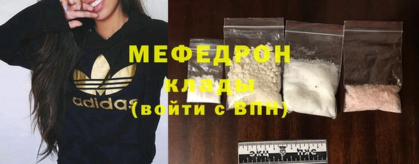 молекула духа Богородицк