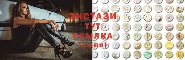 молекула духа Богородицк
