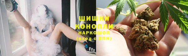 ешки Бронницы