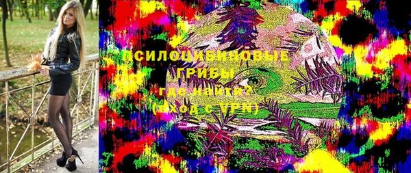 мдпв Богородск