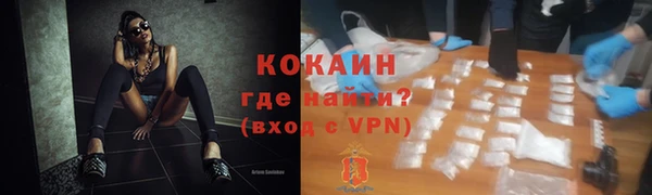 молекула духа Богородицк