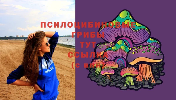 ешки Бронницы
