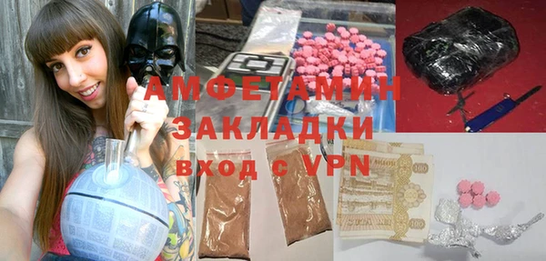 молекула духа Богородицк