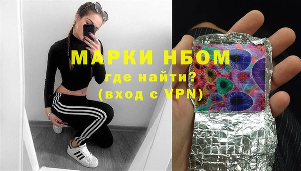 молекула духа Богородицк