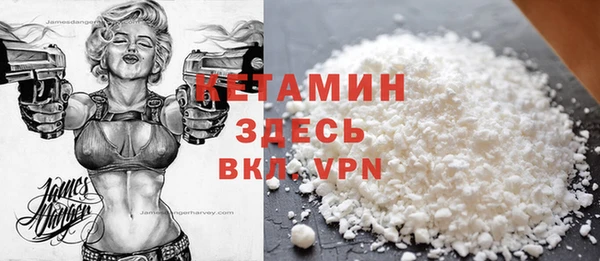 молекула духа Богородицк
