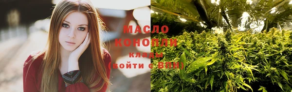 мдпв Богородск