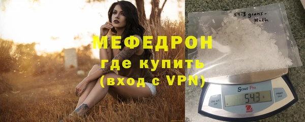 молекула духа Богородицк
